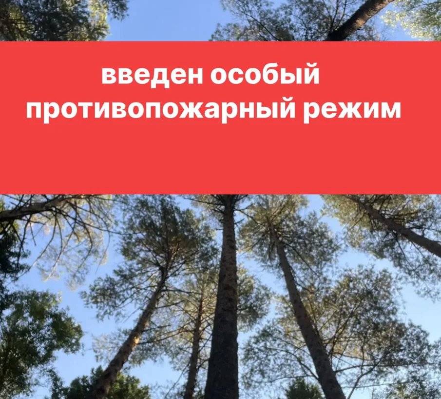 С 1 мая на территории Нижегородской области, в том числе Выксунского городского округа введен особый противопожарный режим